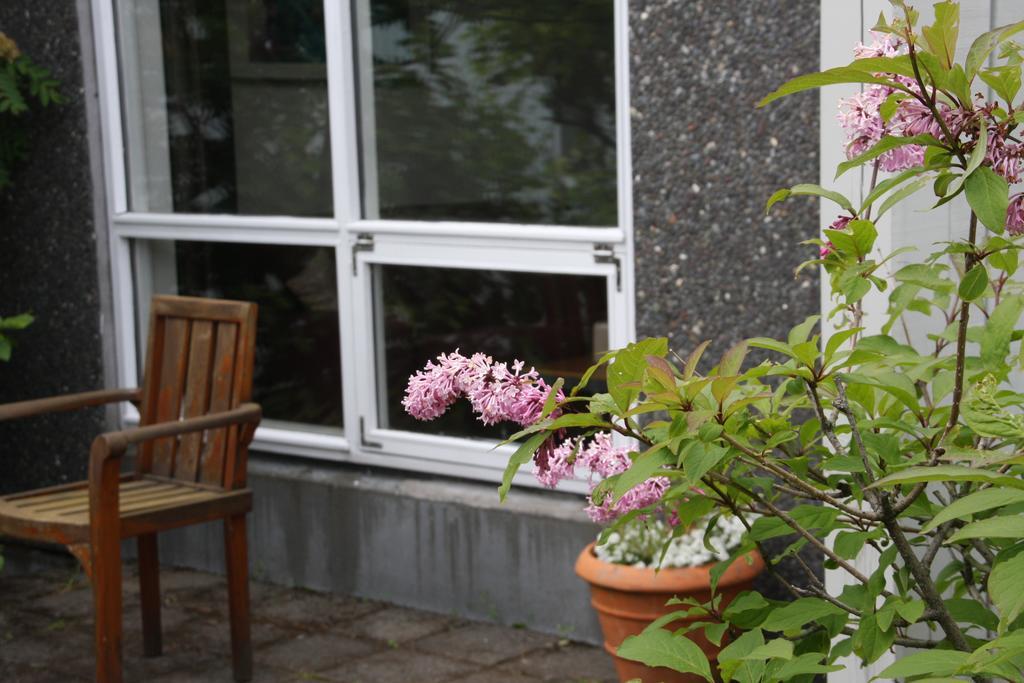 Frumskogar Guesthouse & Apartments هافيراجيردي المظهر الخارجي الصورة
