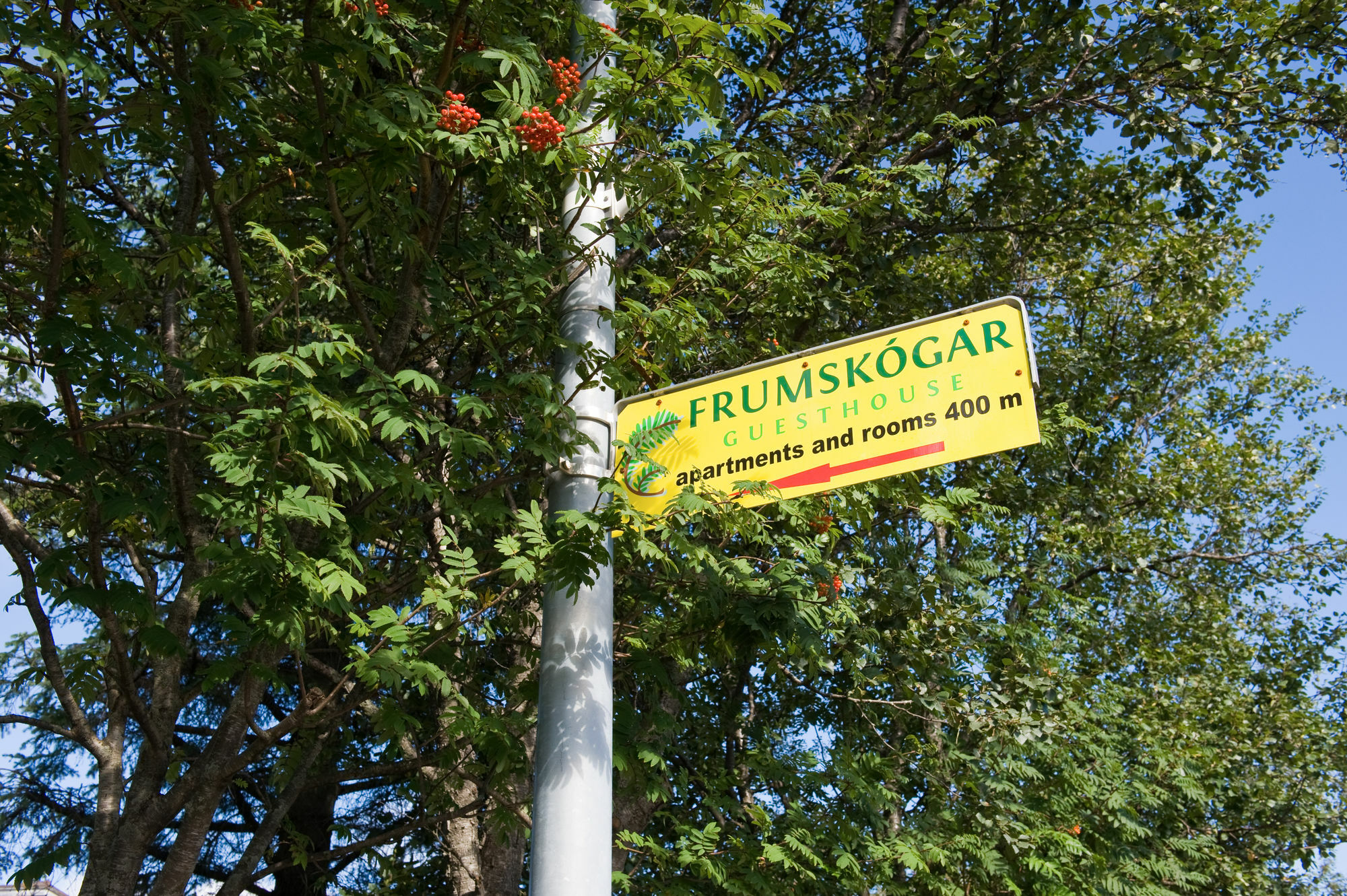 Frumskogar Guesthouse & Apartments هافيراجيردي المظهر الخارجي الصورة
